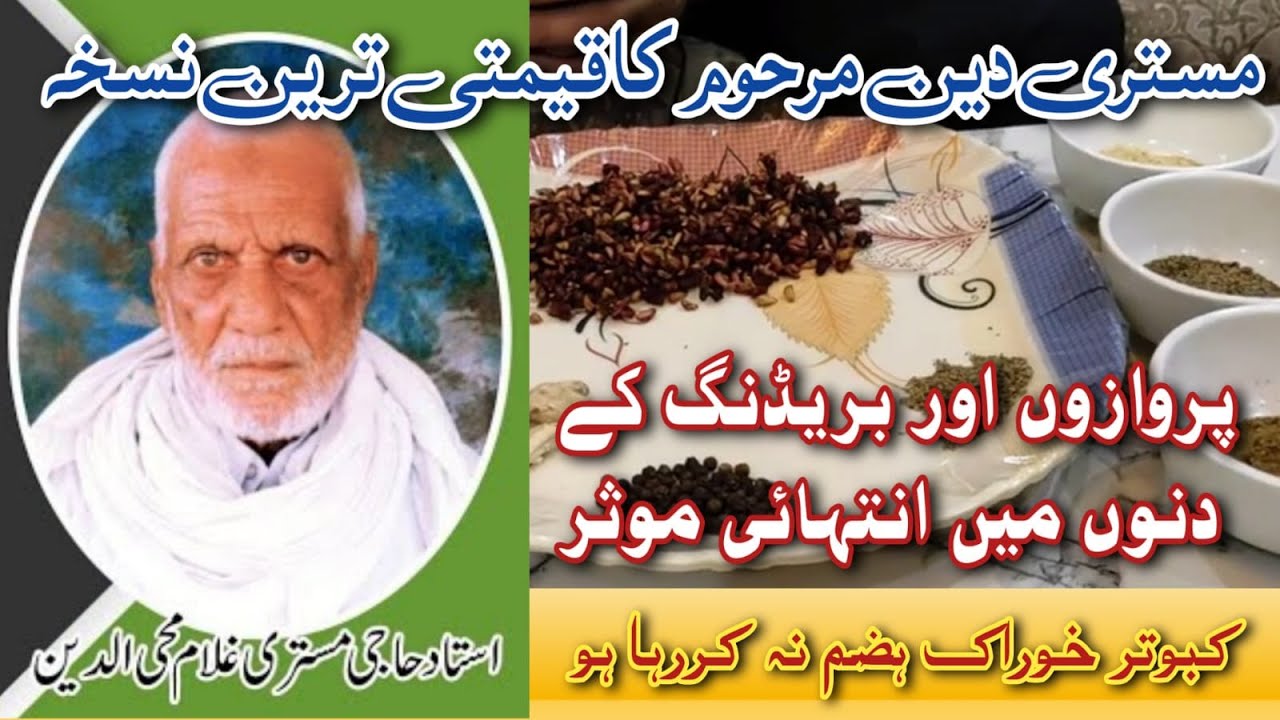 Mistri Deen Wala Qeemti Nuskha