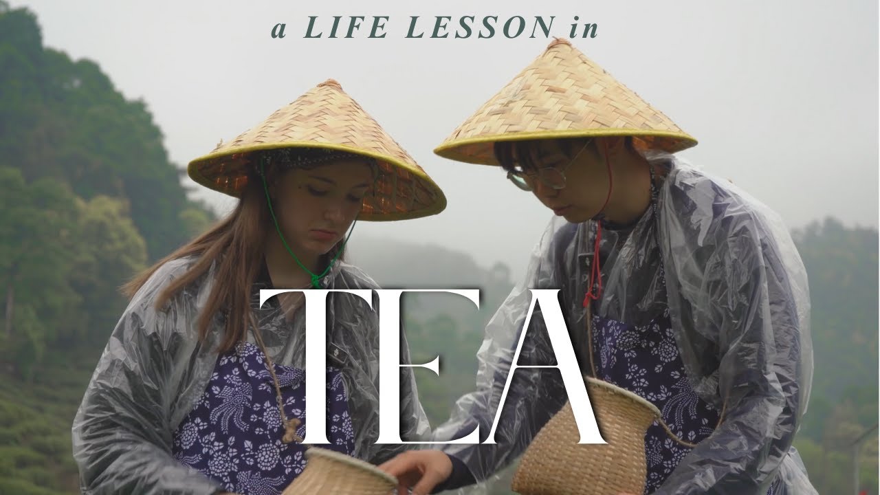 How tea taught me the importance of growth