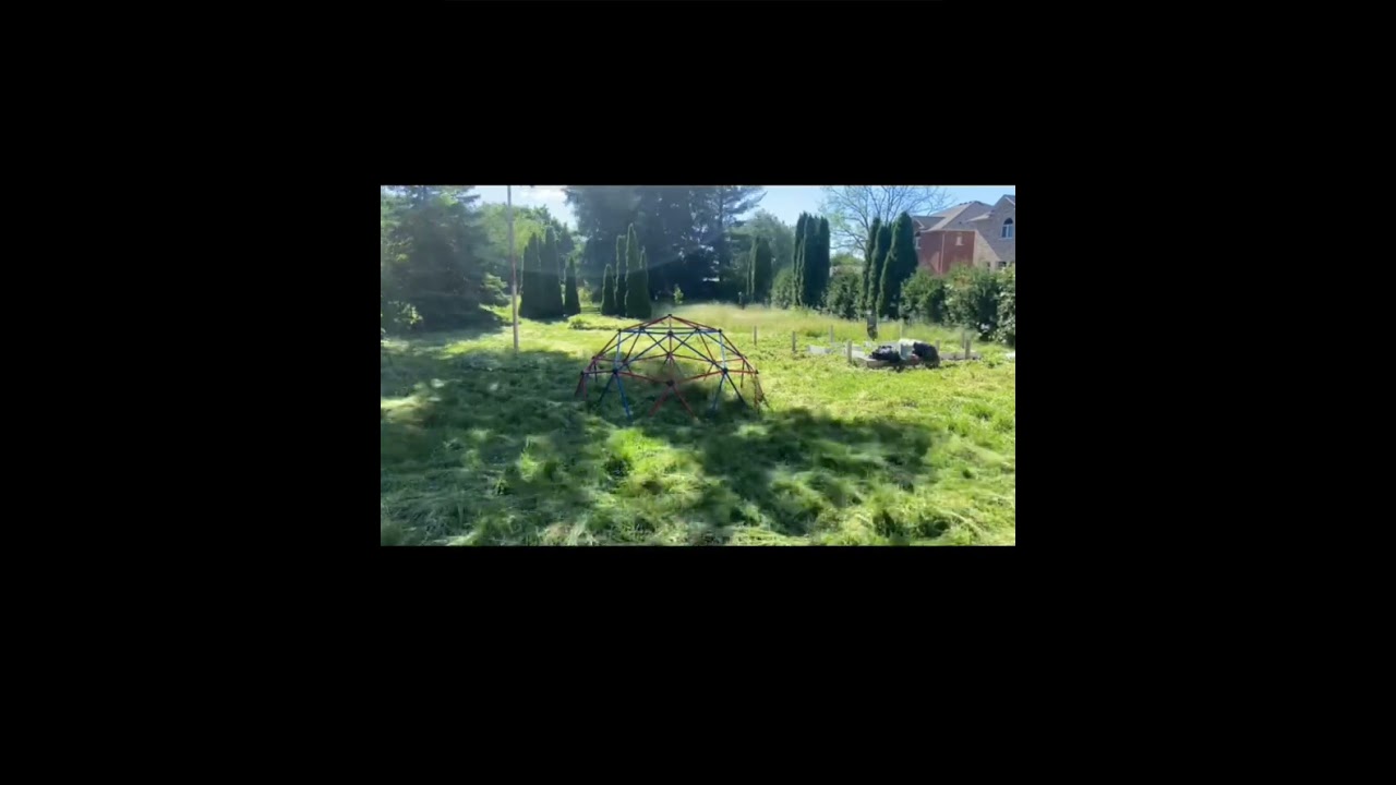 #asmr overgrown lawn 🔥
