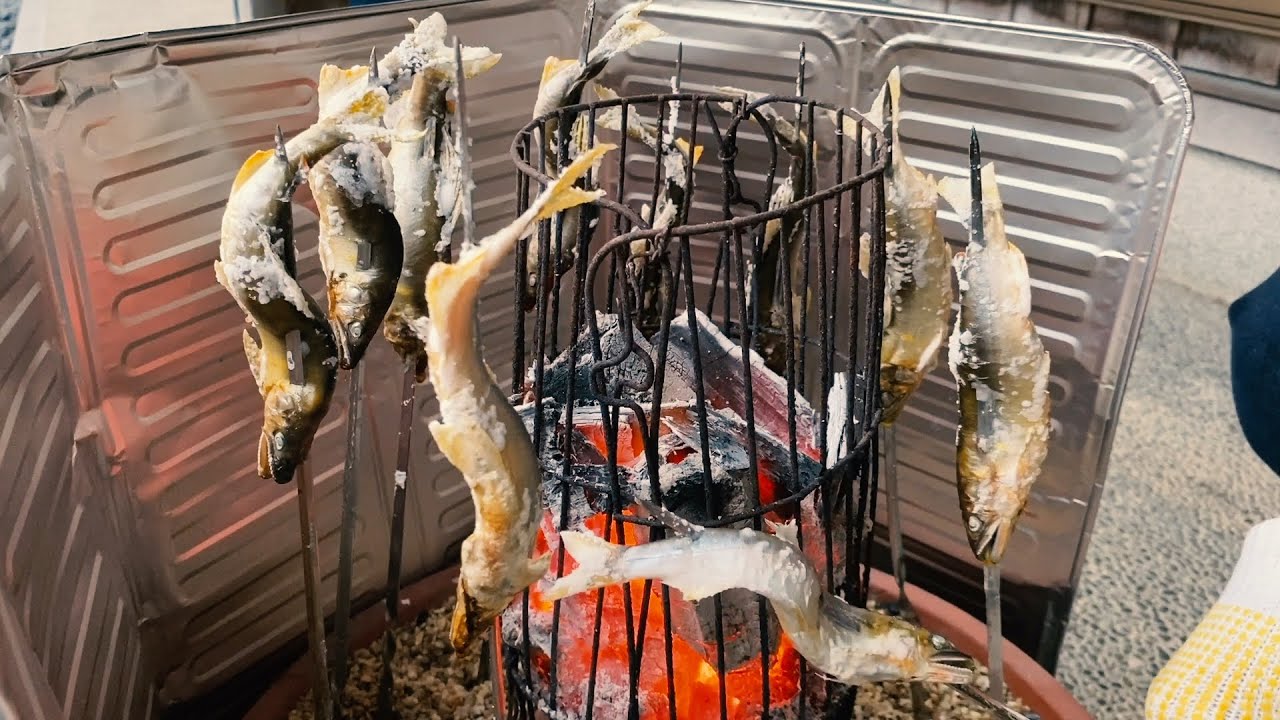 鮎の塩焼きが食べたい / 鮎釣りで自給自足 / BLOG / Vlog