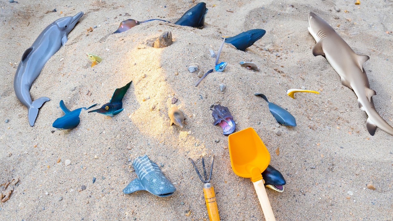 Digging in the Sand to Discover Ocean Fish 🐠🦈 | Hidden Mysteries of the Deep Sea