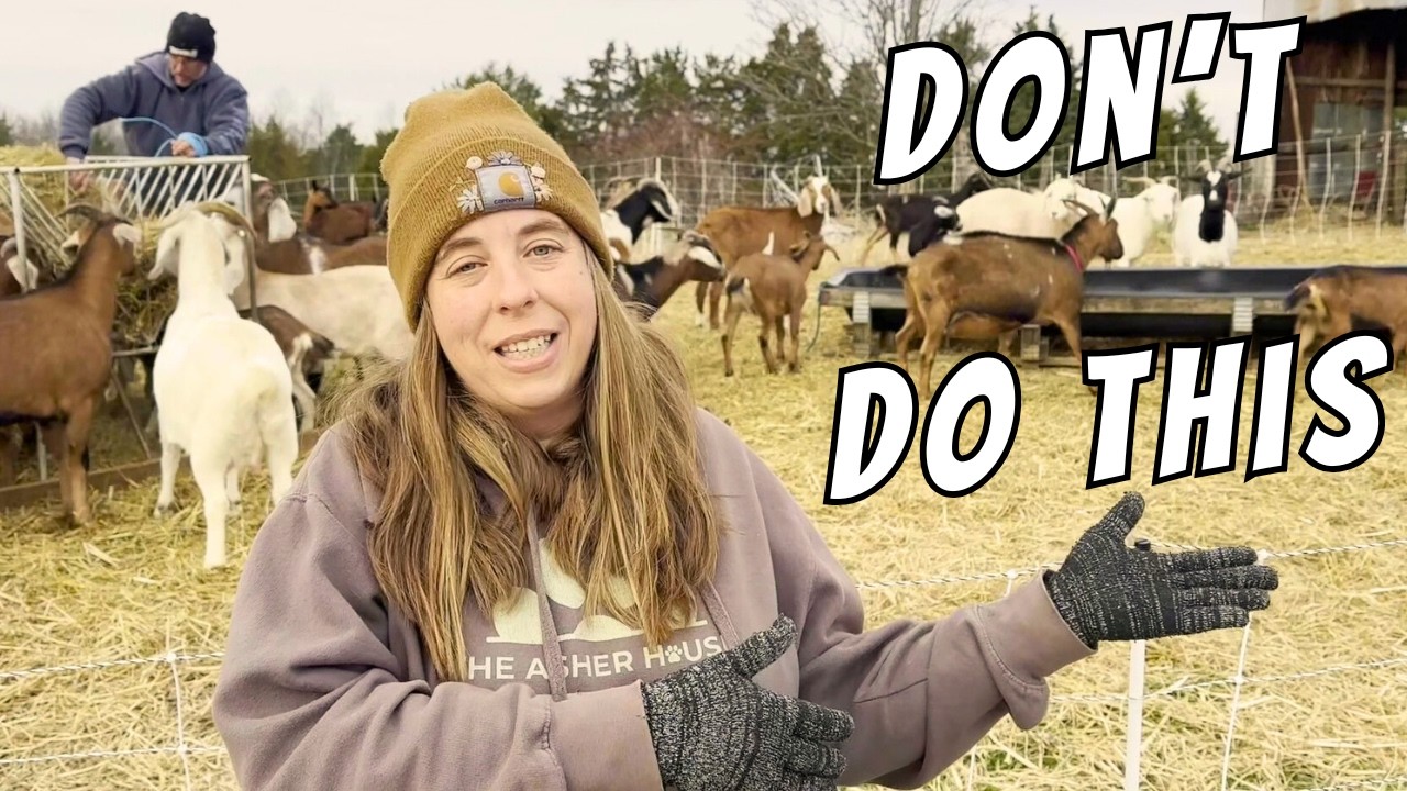 Want To Start Farming In 2026?