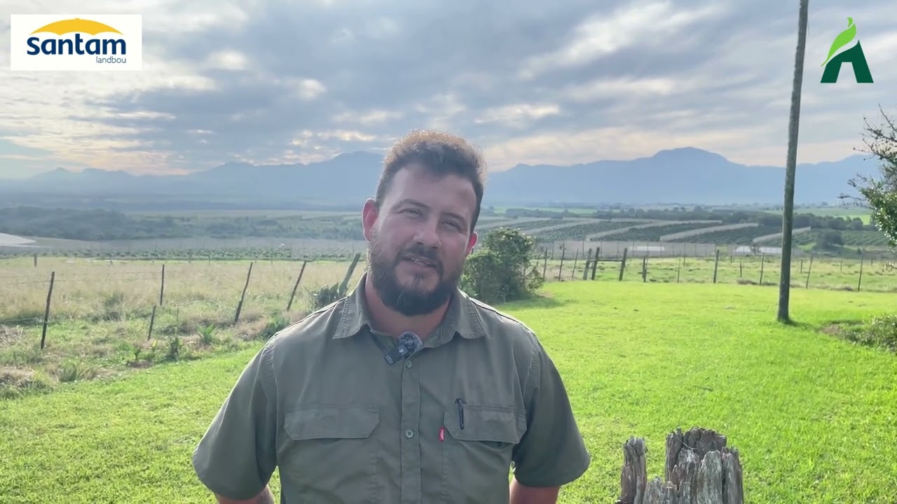 Mario Lombard | Agri Wes-Kaap Santam Jongboer van die Jaar 2025 finalis