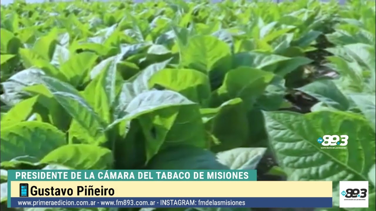 “El bloqueo solo hace perder al productor”