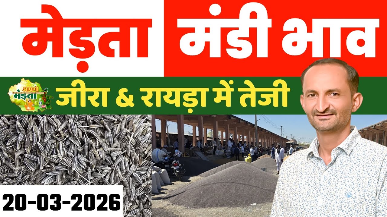 मेड़ता मंडी भाव। | Merta Mandi Bhav | Jeera Bhav | Moong Bhav | Aaj Ka Mandi Bhav 20.03.2026