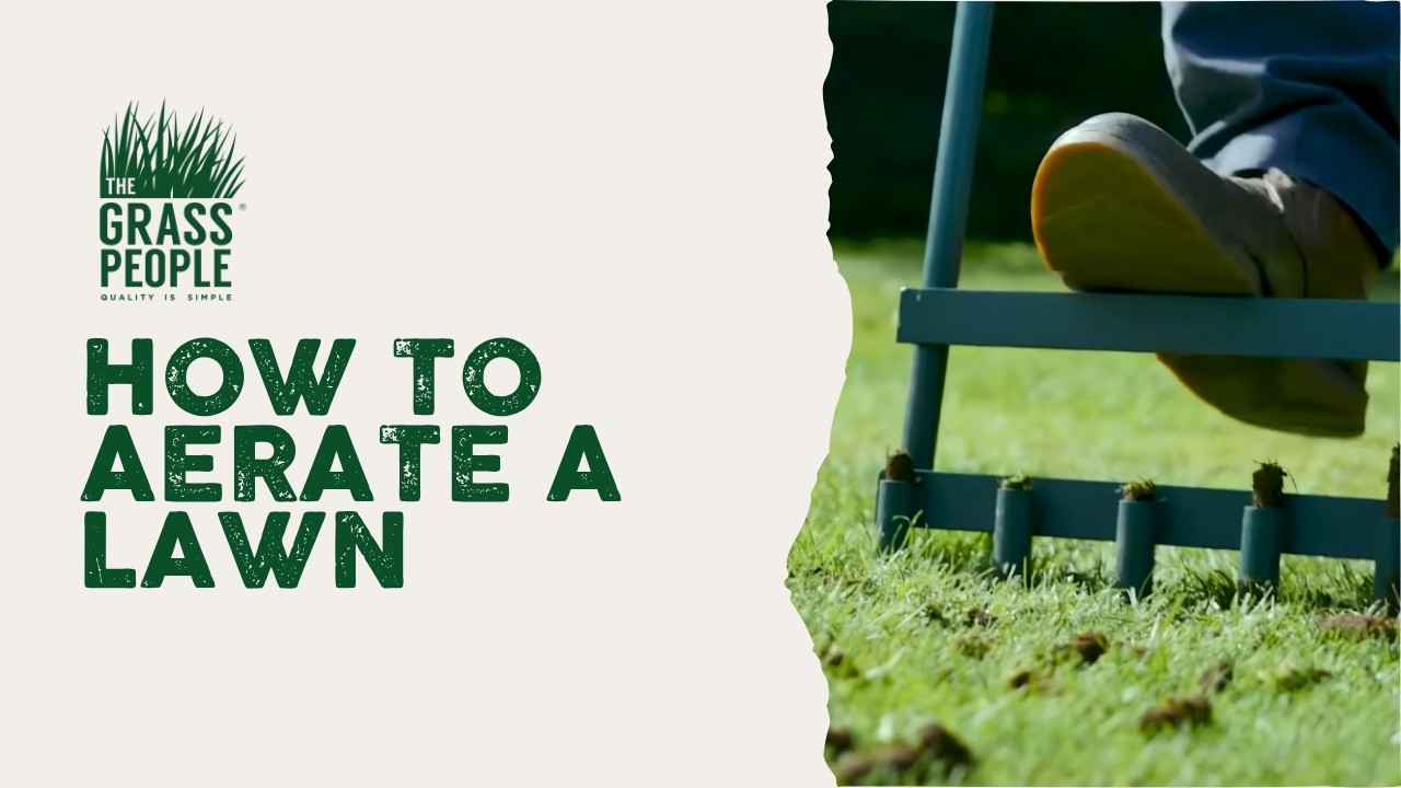 Aeration for Lawns - Great Lawns Made Simple