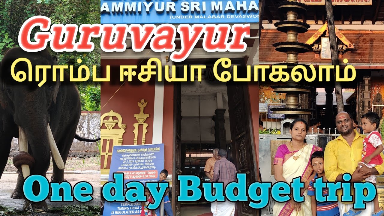 Guruvayur budget trip | Complete tour plan to Guruvayur | ஒரு நாள் போதும் குருவாயூர் போயிட்டு வரலாம்