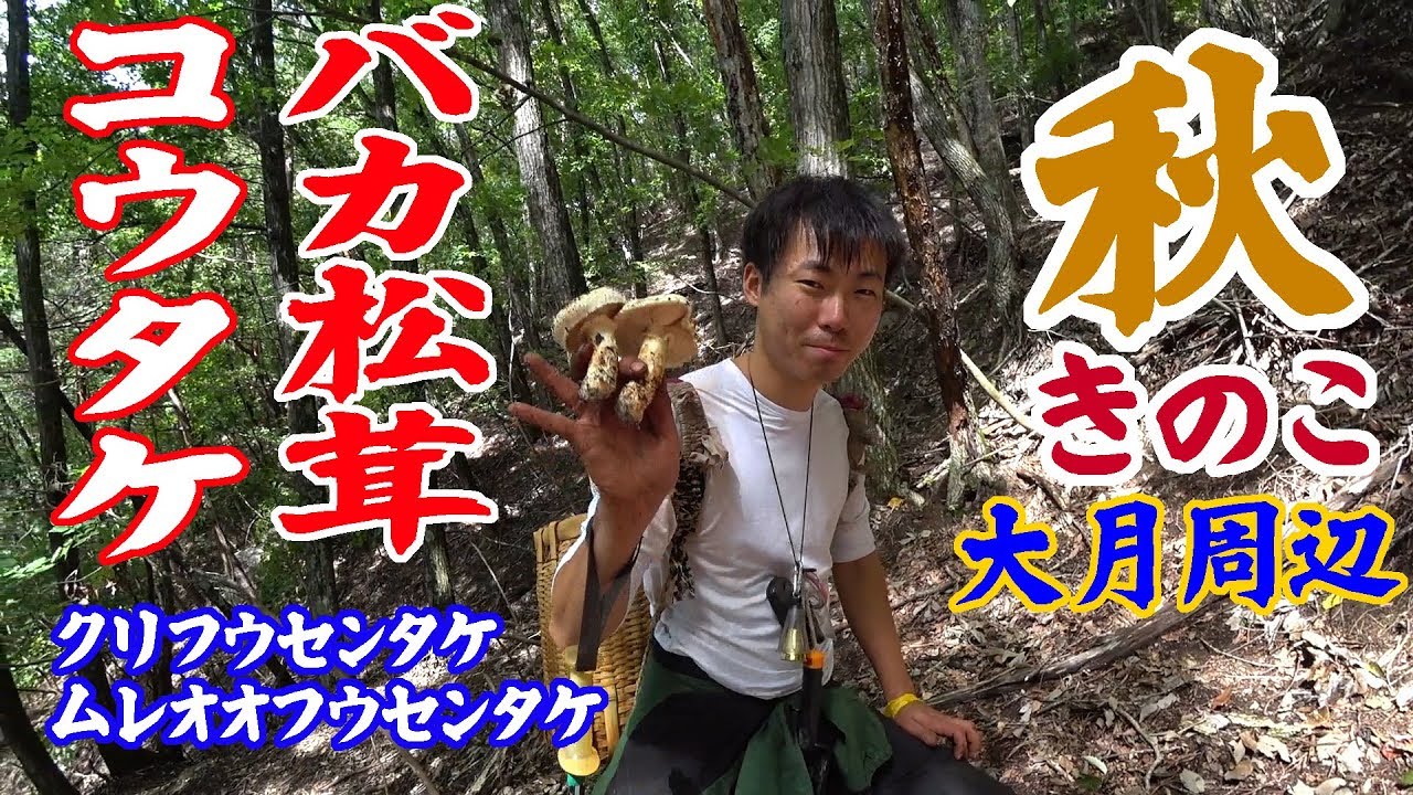 【大月周辺】キノコ狩り　秋きのこ