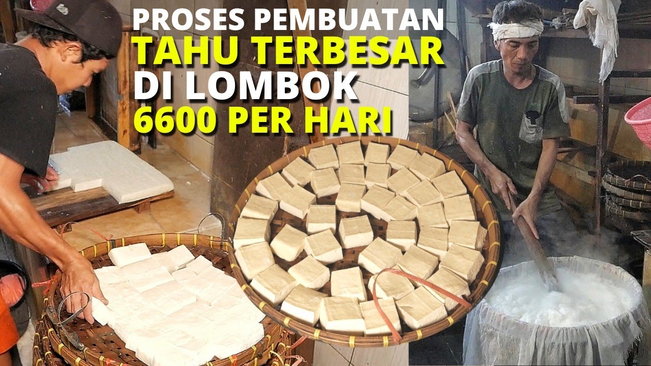 PEMBUATAN TAHU DI LOMBOK TERBESAR & TERKENAL - SEHARI 3 KWINTAL KEDELAI LUDES