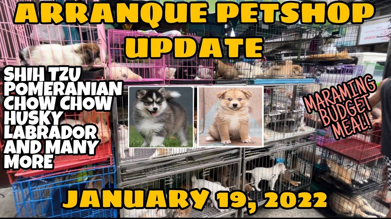 ARRANQUE PET SHOP | JANUARY 19, 2022 | TUPANGGALA MOTOVLOG