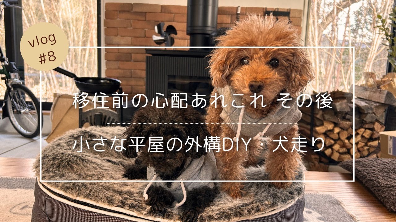 #8 移住前の心配あれこれのその後・小さな平屋の外構DIY / 犬走り