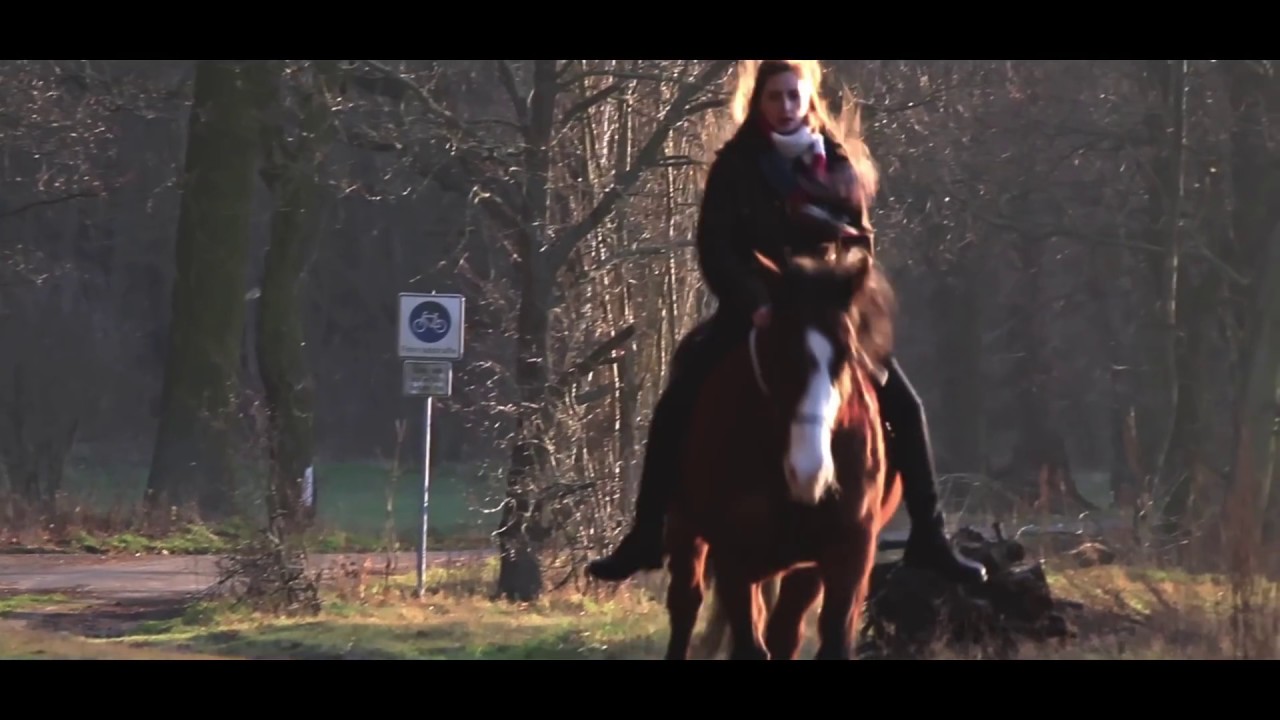 Teylan - Ein letzter Blick - 2016