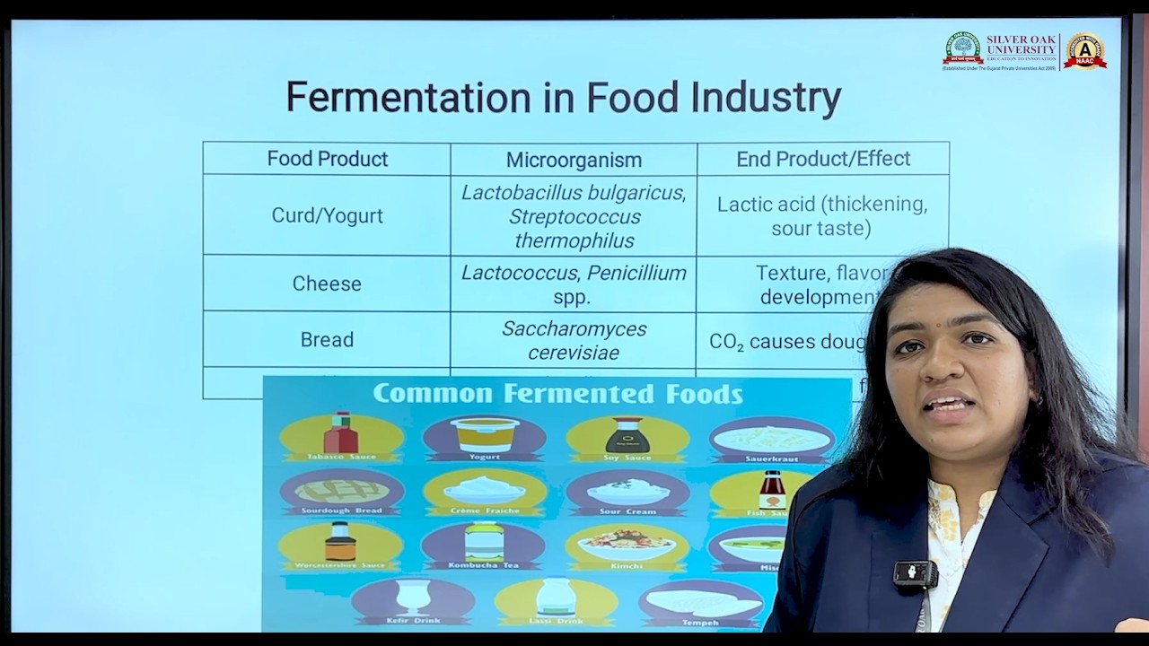 Fermentation | Microbes in Human Welfare | Class 12 Biology | One-Shot Revision | Boards & NEET