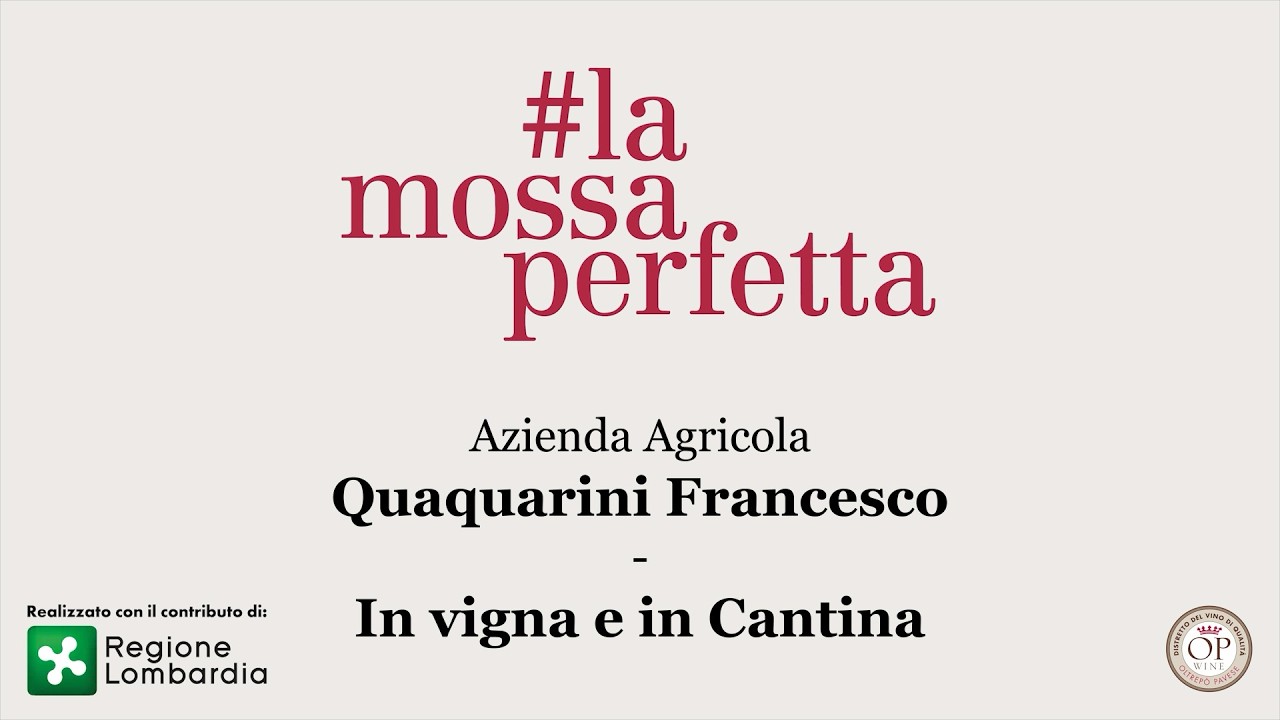 In Cantina e in Vigna produttore Quaquarini