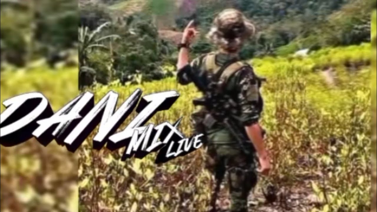 La guerrillerita Cristian P&eacute;rez djdanimixlive 2023 RMX