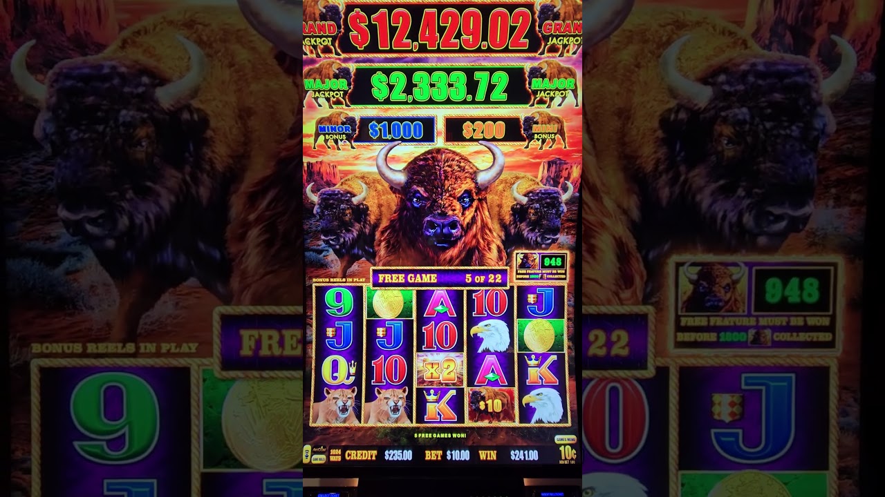 AMAZING WIN on Buffalo Link during the free games feature! 