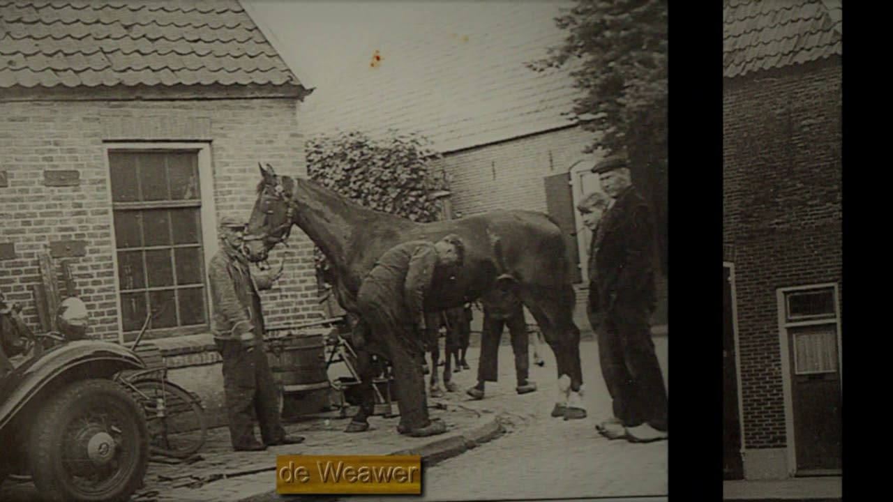 film oud rijssen