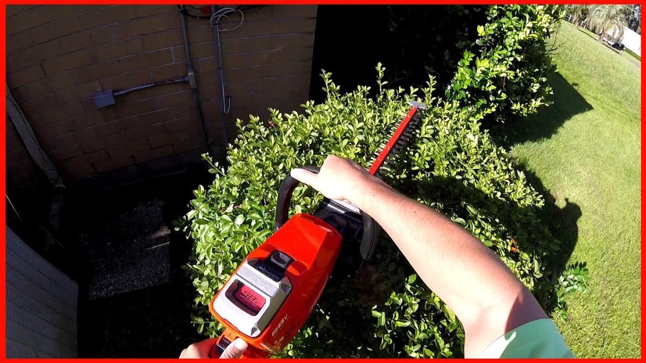 Battery Powered Hedge Trimmer Review - ECHO 58 Volt
