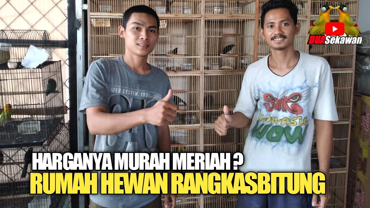SURVEY HARGA BURUNG TAHUN 2021 RUMAH HEWAN RANGKAS BITUNG LEBAK BANTEN
