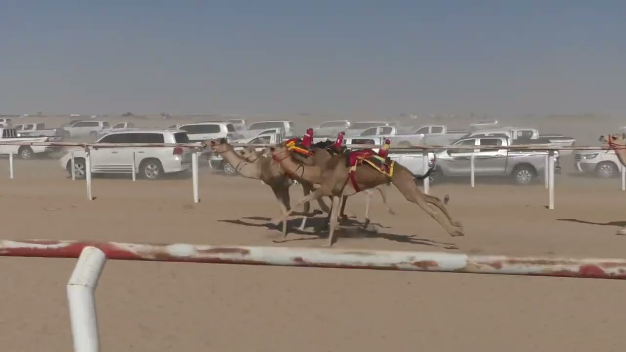 ش3 عصريه ل خميس بن الدوده الحرسوسي