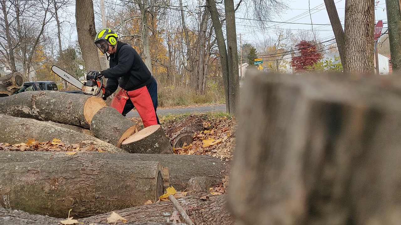 Stihl 034 Super on some red pine