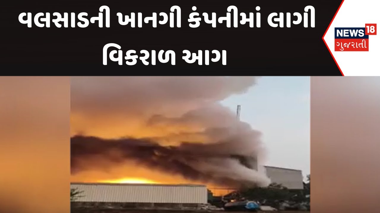 Valsad Fire Incident | વલસાડની ખાનગી કંપનીમાં લાગી વિકરાળ આગ | Fire Brigade |Gujarat Samachar