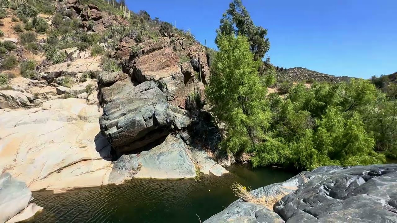 Colliguay