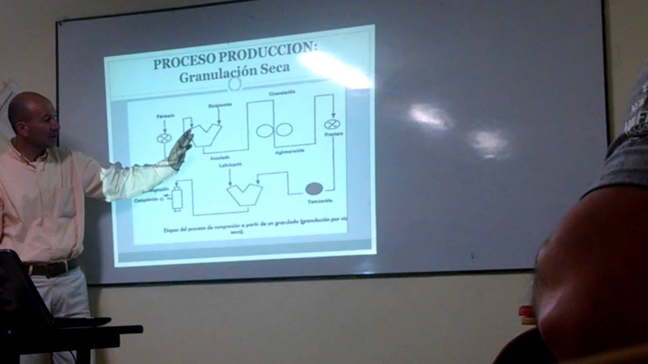 granulacion humeda y seca