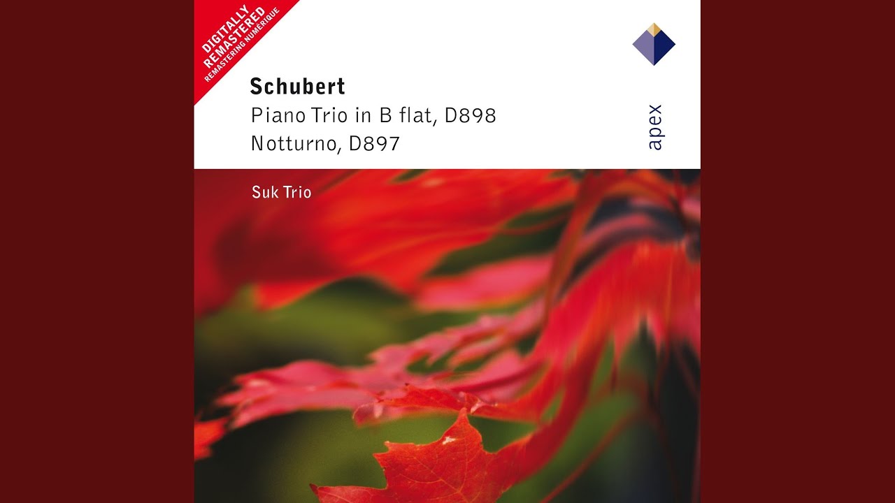 Piano Trio No. 1 in B-Flat Major, Op. 99, D. 898: I. Allegro moderato