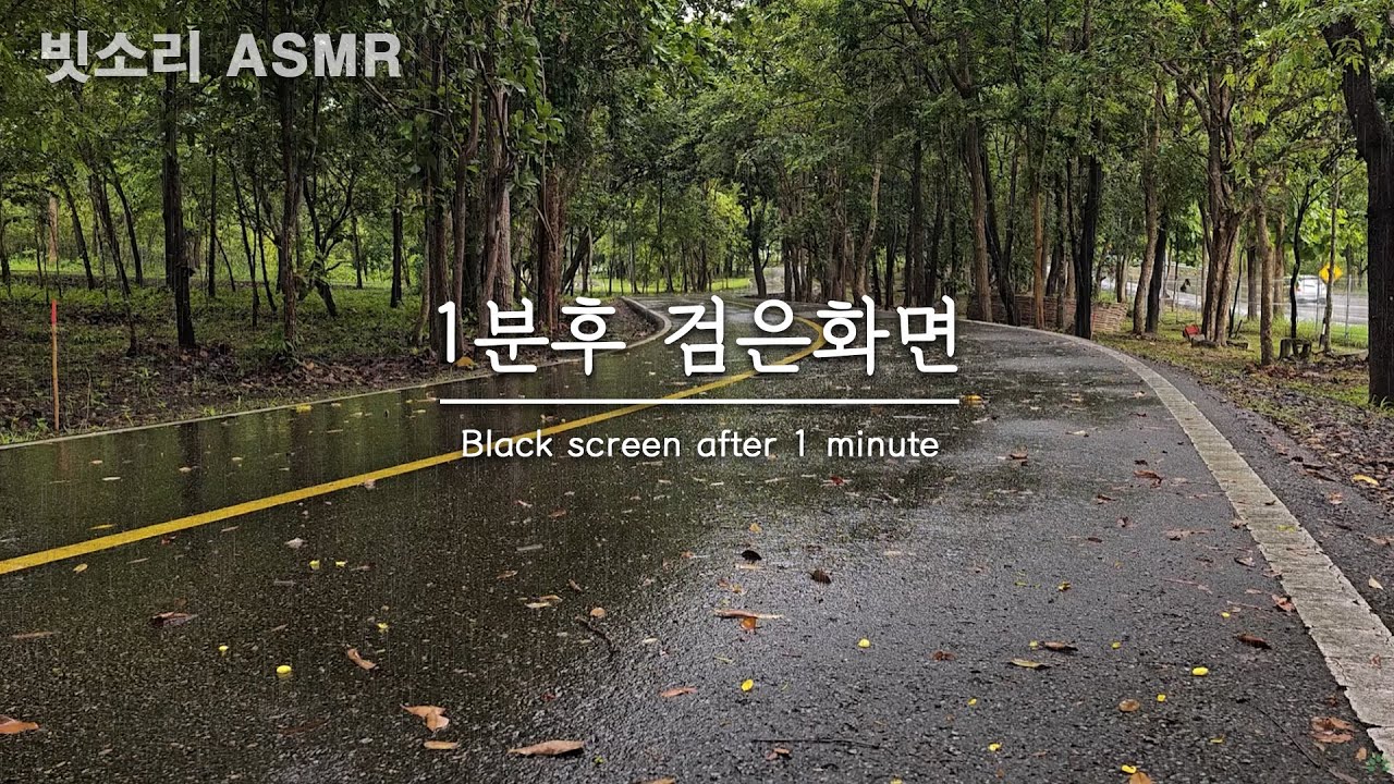 한적한 시골도로의 부드러운 빗소리 ASMR, 불면증에 좋은 빗소리 - 1분후 검은화면, 블랙스크린