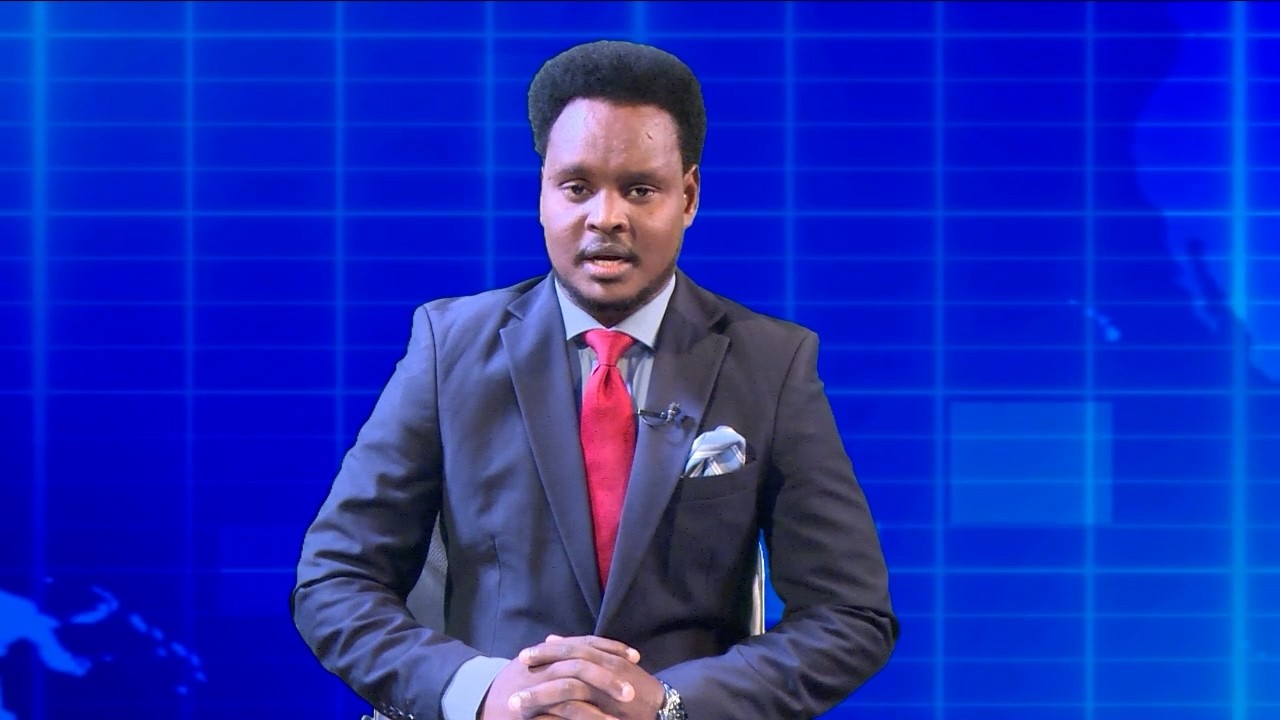 Warka Universal Tv 16 04 2026