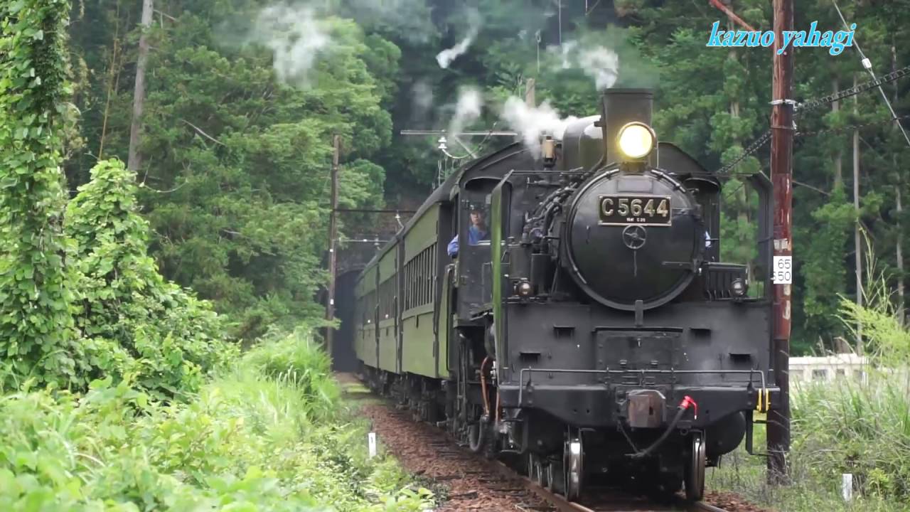 大井川鐵道 C11 190 試運転 2016年6月24日