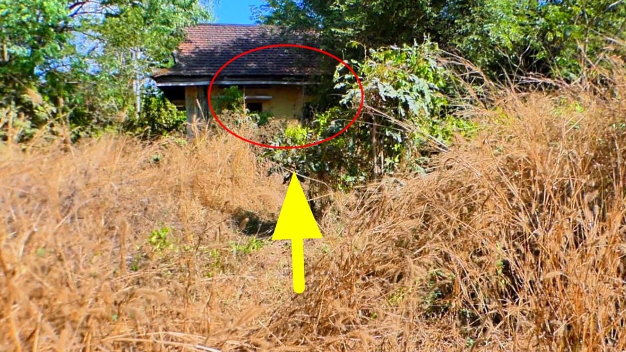 Thirty Years Gone, and the House That Welcomed Me Has Become a Realm of Silence and Ghostly Echoes.