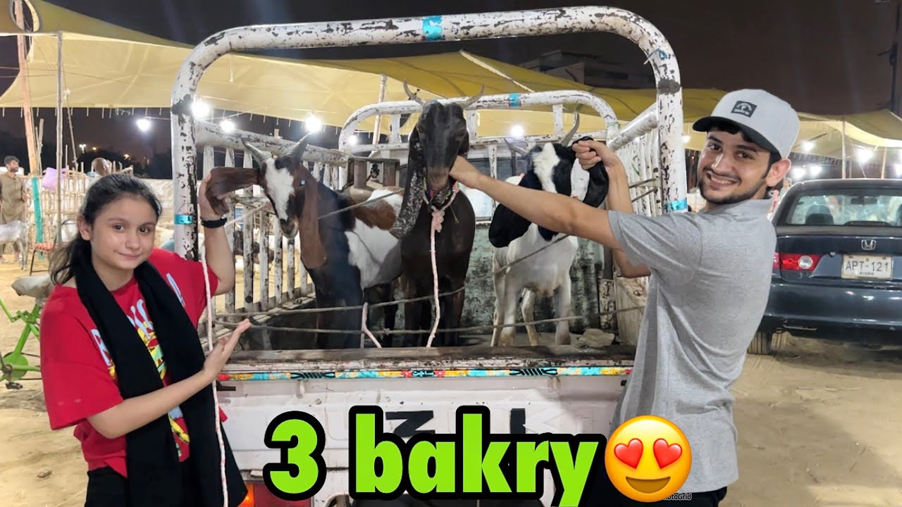Наконец, купите ещё и коз 😍| Бари сложно найти 😳