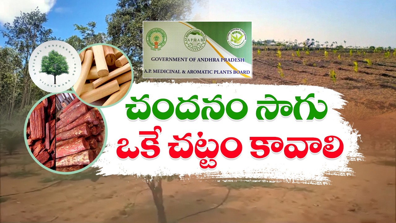 Red Sandalwood Crisis in India | India&rsquo;s Red Sandalwood Future in Danger? || IdiSangathi