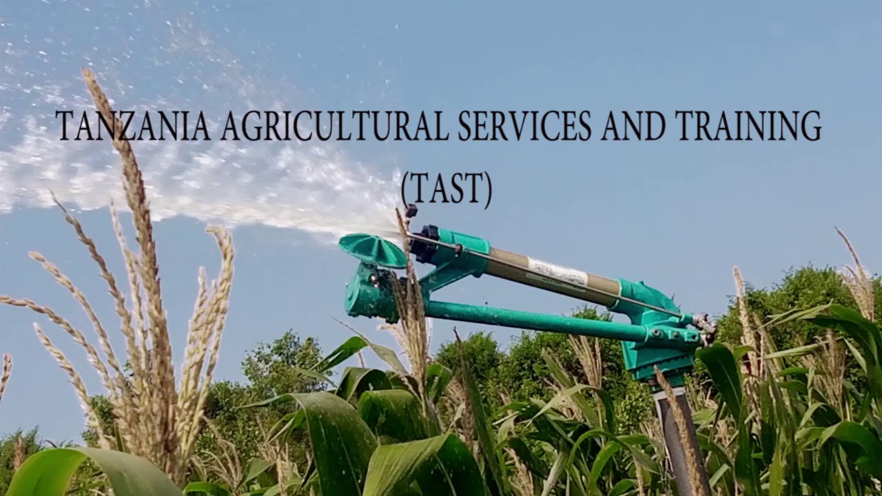 SPRINKLER IRRIGATION SYSTEM INSTALLATION AT TANGA#TANZANIA