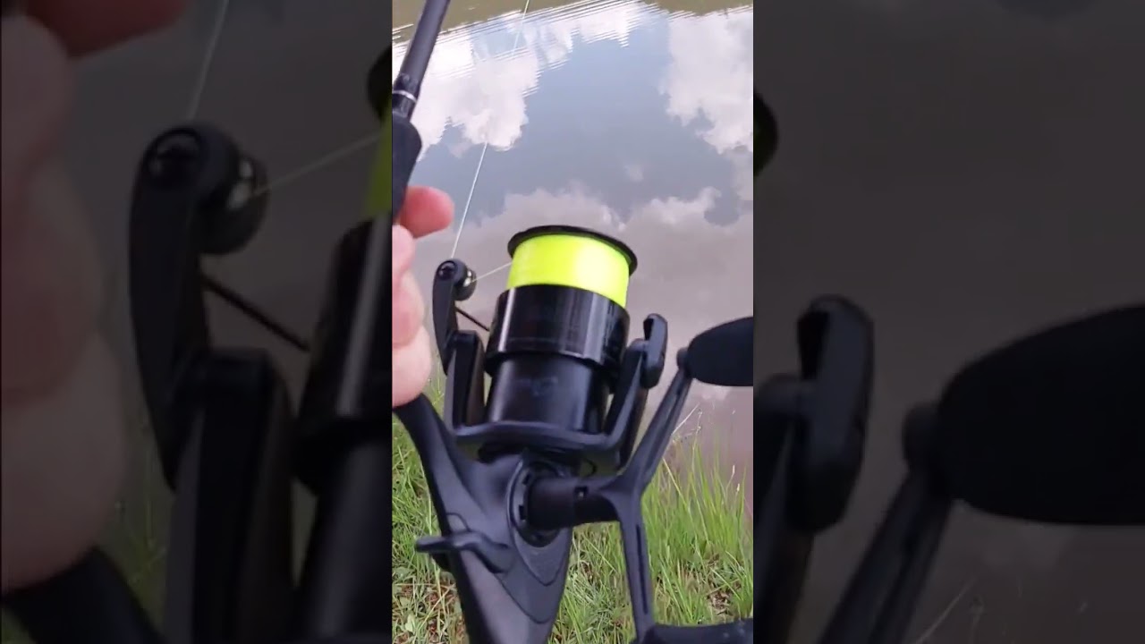 REEL RUN 🔊SOUND ON🔊🎣🔥CARP FISHING SOUTH AFRICA AT ITS BEST.#blessed #africa #southafrica #fishing