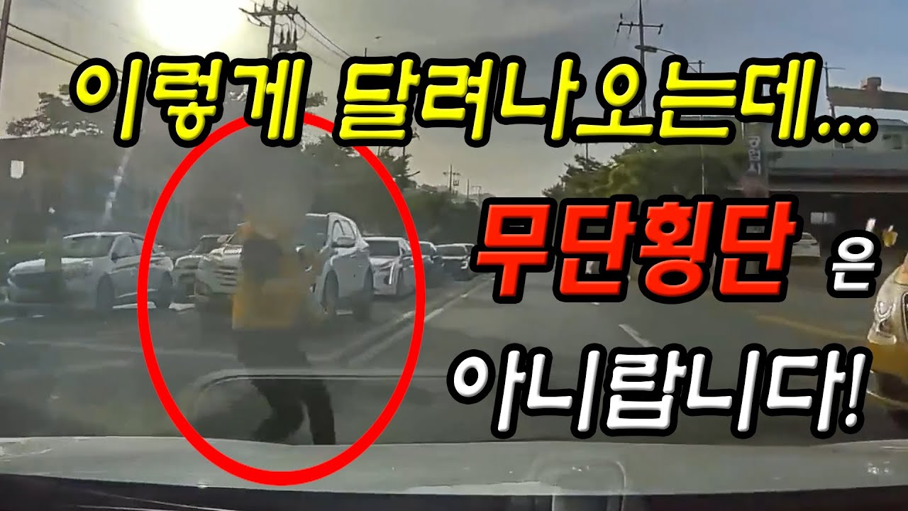 11794회. 신호등 없는 교차로를 건너는 보행자 그런데, 무단 횡단은 아닙니다