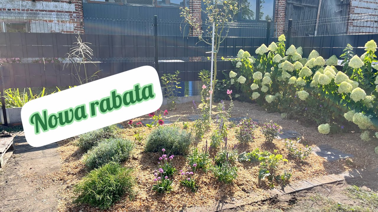 Nowa rabata - roślin przybywa.