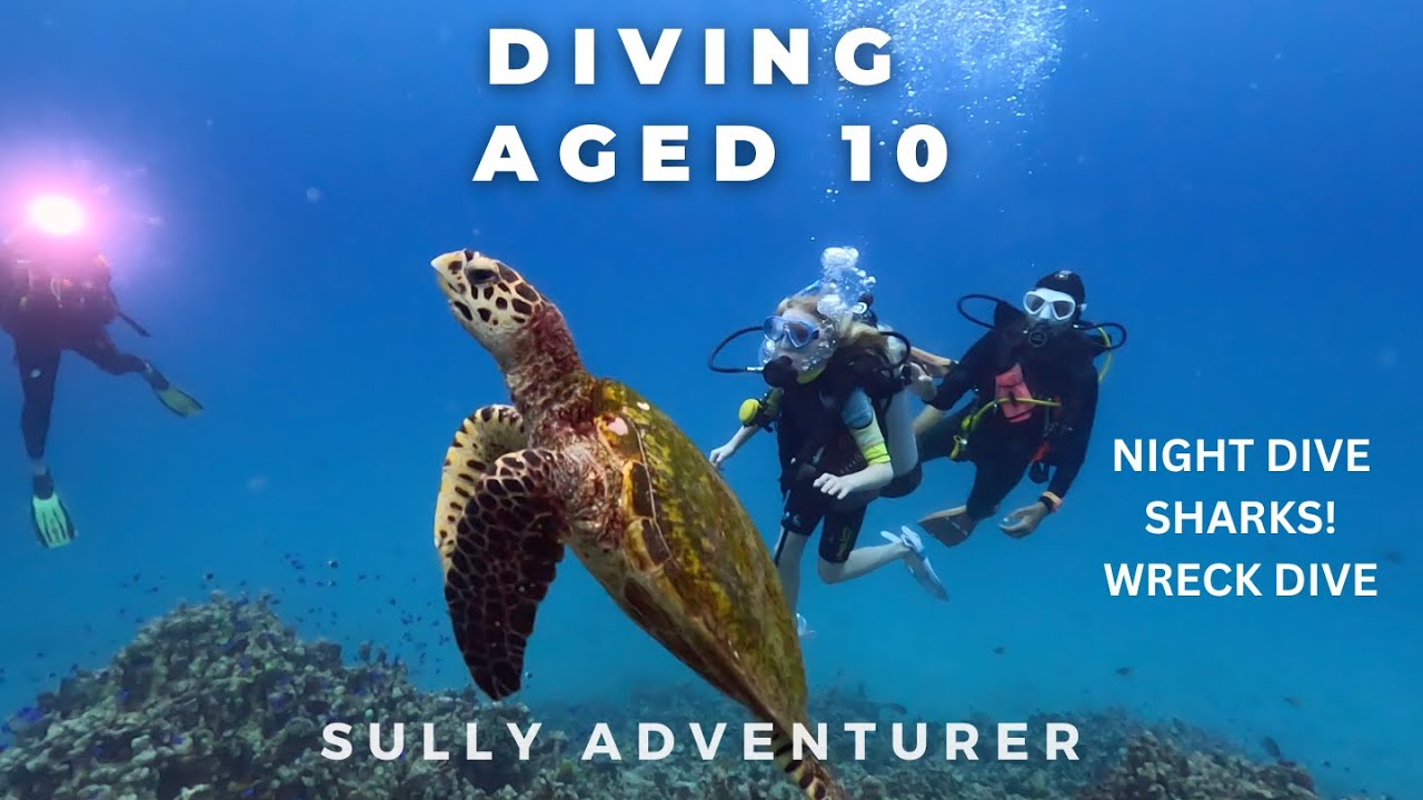 Learning to dive child aged 10 - Night dive, Wreck dive CMAS Gold - PADI Bubblemaker