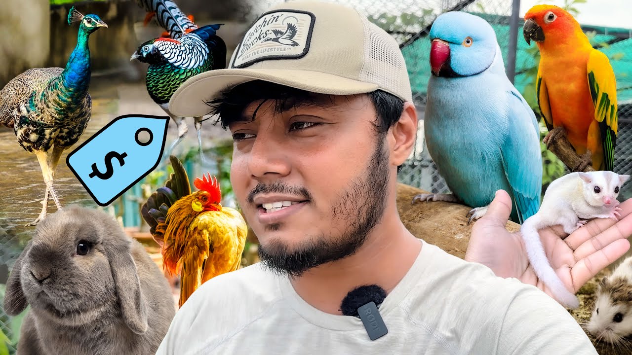 সব থেকে দামি পোষা প্রাণী কোনটি আমার?