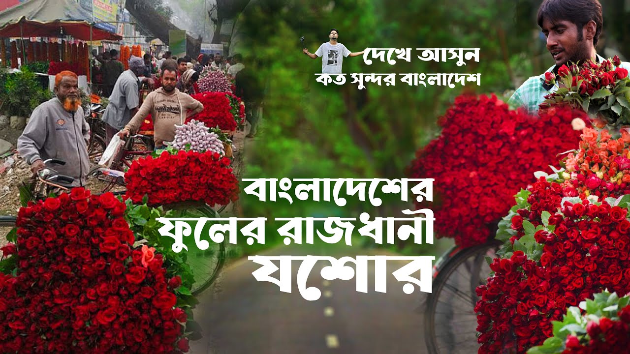 বাংলাদেশের সব থেকে বড় ফুলের রাজধানী যশোর জেলা গদখালী ফুলের রাজ্য | Bangladesh Biggest flower Market