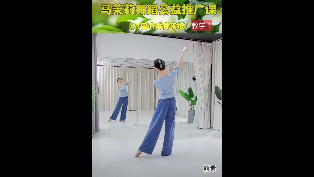 古典舞《只留清香春来报》马莫莉老师原创 详细分解教学一