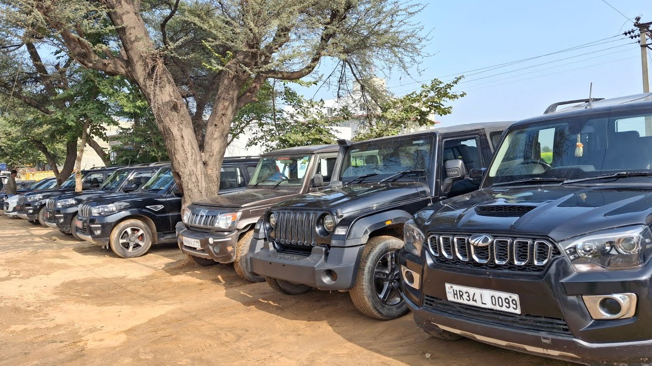 The car collection jui road Badhra Haryana new year best offer 🫴 Scorpio ♏  All original available