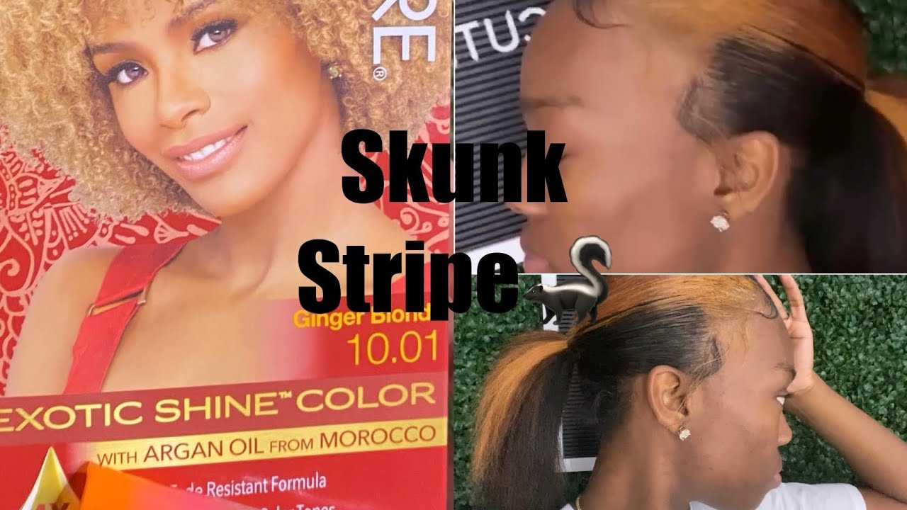 Watch me impulsively dye my hair (Tik tok skunk stripe🦨)