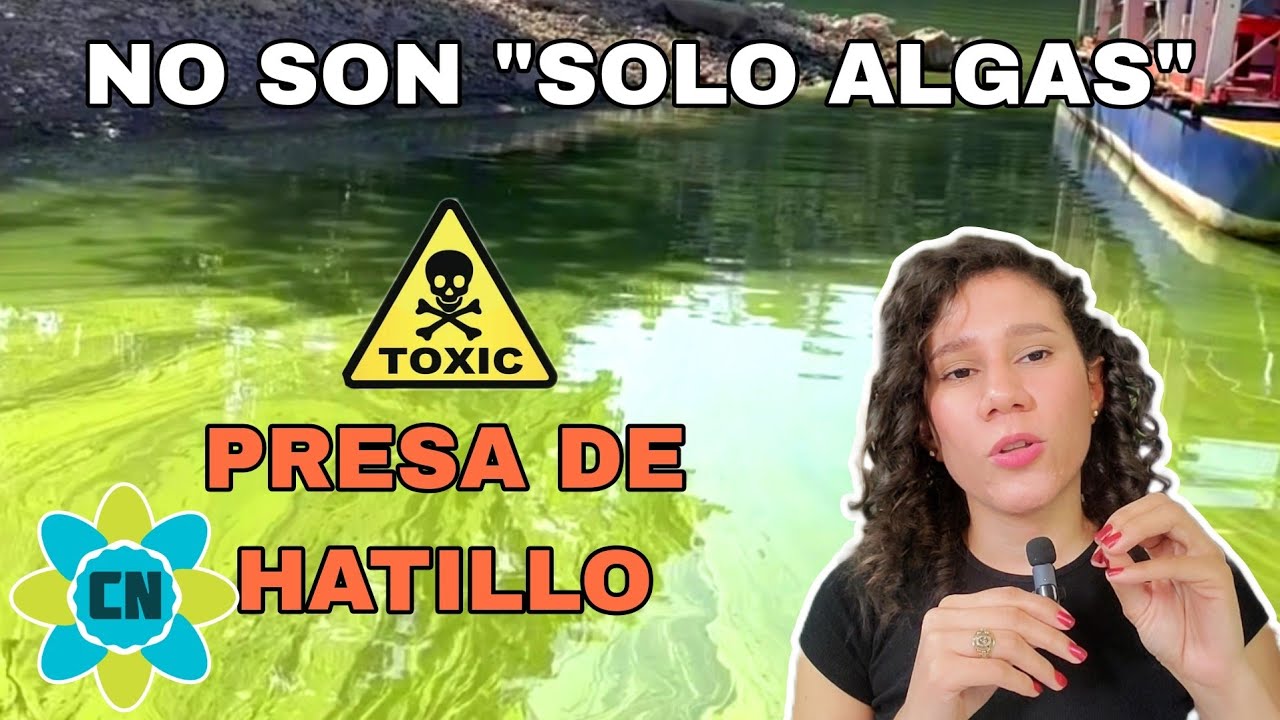 CONTAMINACIÓN ALGAS PRESA DE HATILLO: EUTROFIZACIÓN 