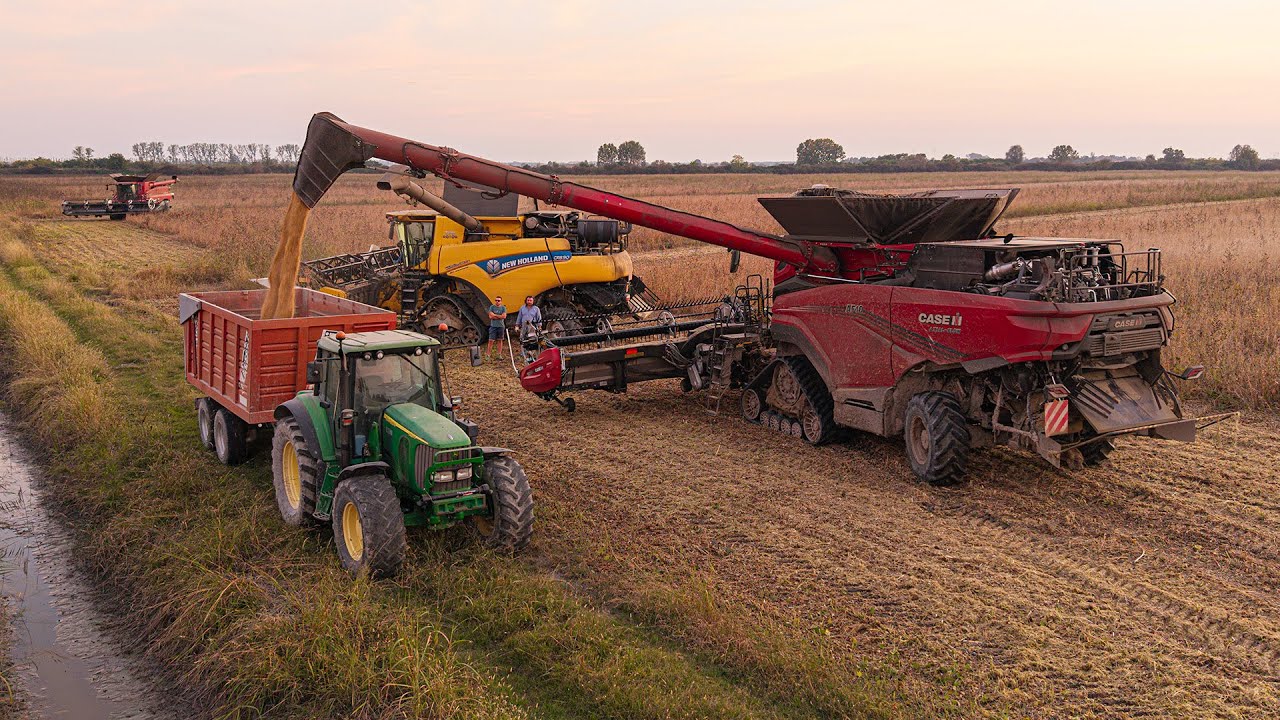 3x MIETITREBBIE IN CAMPO: CASE IH AF10, 8250 & NH CR 8.90 | Trebbiatura Soia 2025 | Az. Speranza