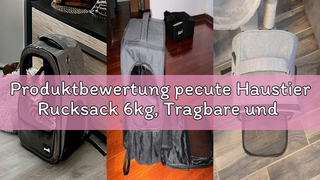 Produktbewertung pecute Haustier Rucksack 6kg, Tragbare und Faltbare Katzentasche, Atmungsaktive und