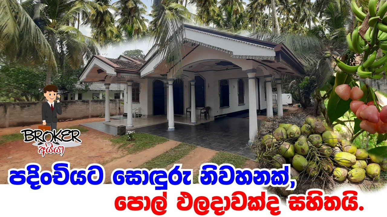 House And land for sale in sri lanka/lankawe idam gewal/House for sale in marawila/pol idam/land 