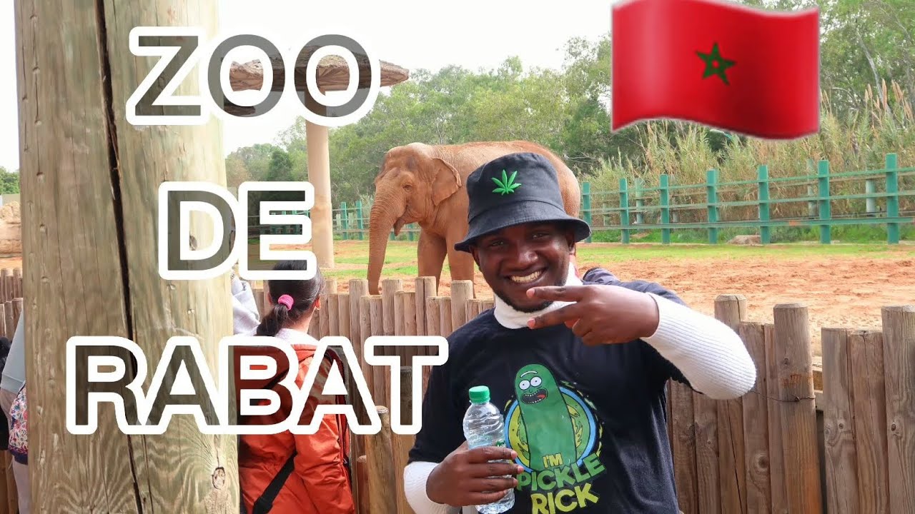 JARDIN ZOOLOGIQUE DE RABAT🦃🦛🦁🐵